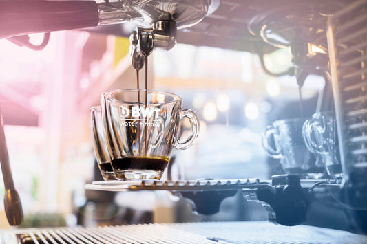 BWT Bestsave M : La Solution Idéale pour un Café Parfait